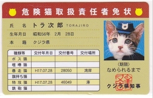 なめ猫 トラ次郎の危険猫取扱責任者免状 なめ猫グッズと免許証や画像求む 歌も聴きたい